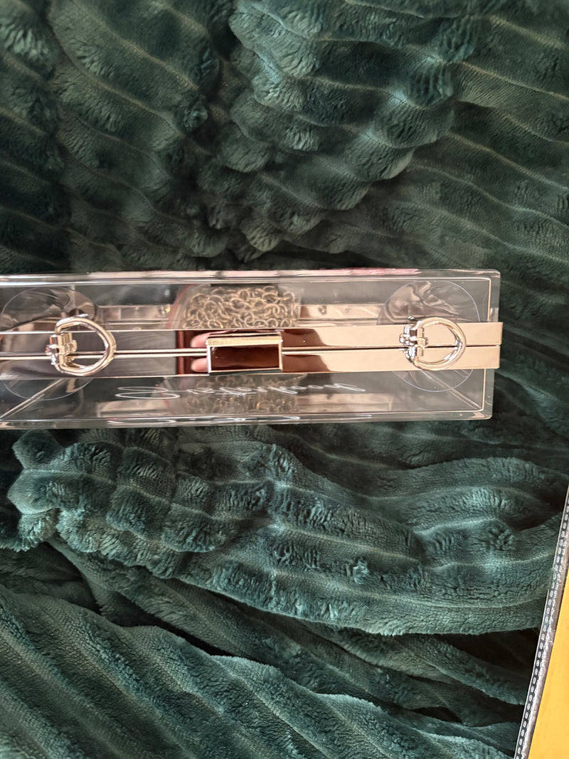 Clear Box Delta purse